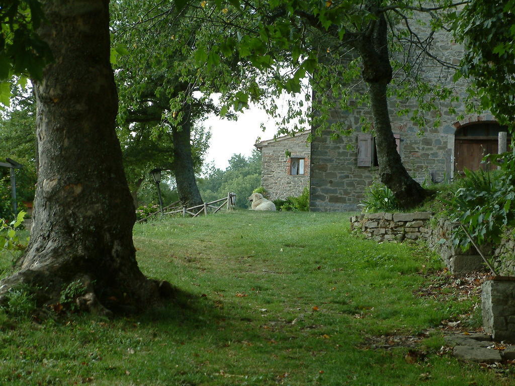 Casina Della Burraia Villa Subbiano Luaran gambar