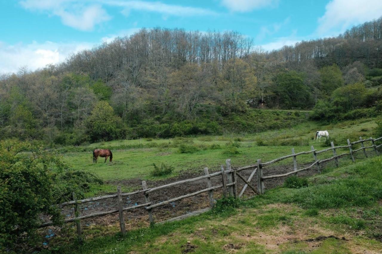 Casina Della Burraia Villa Subbiano Luaran gambar